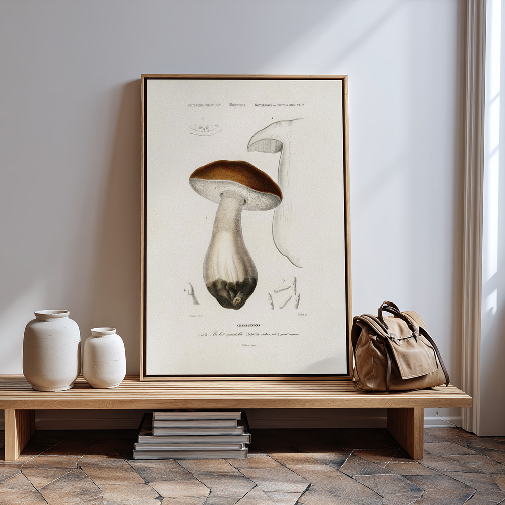 Canvas print - Penny Bun (boletus Edulis) by the entrance