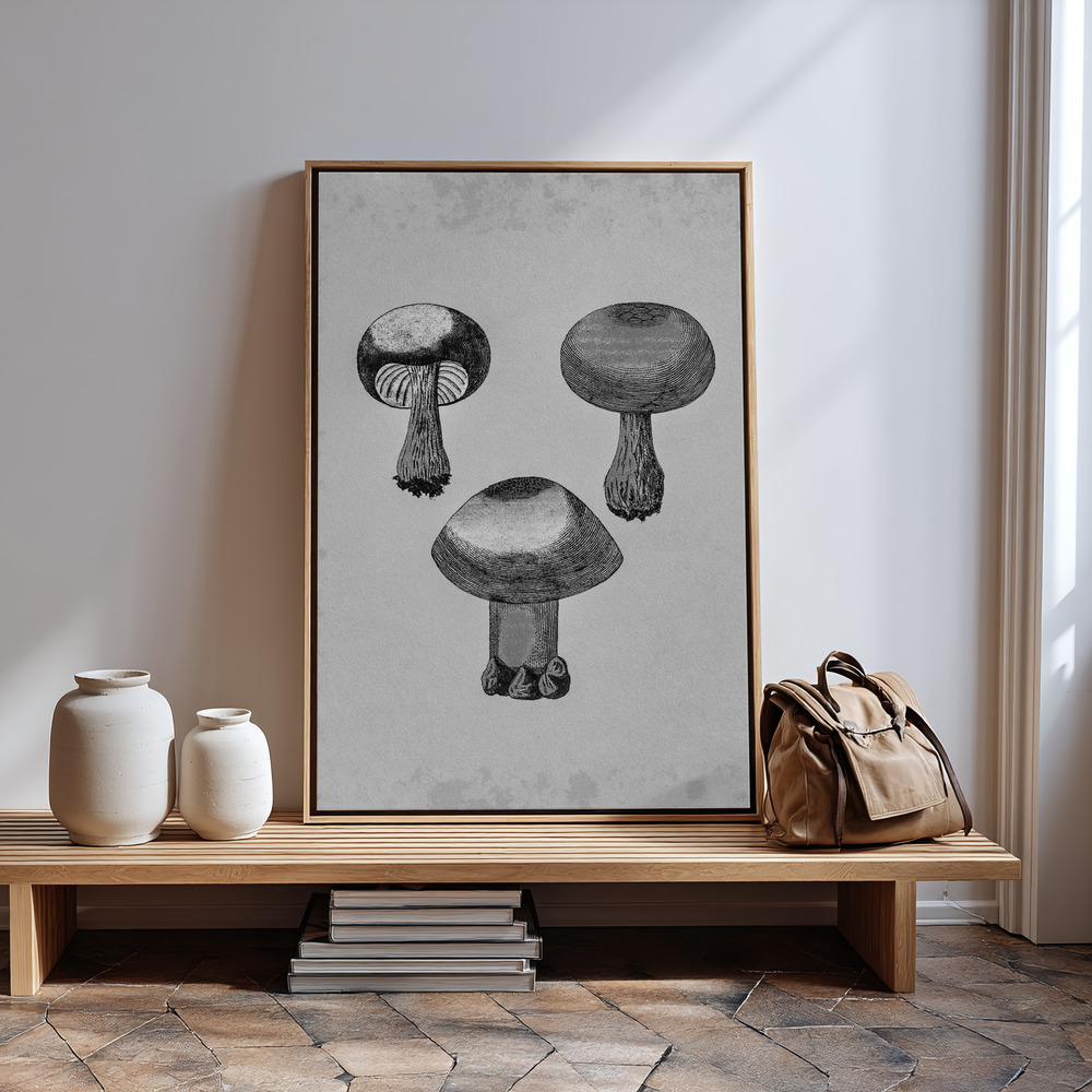 Canvas print - Violet Webcap Mushroom by the entrance