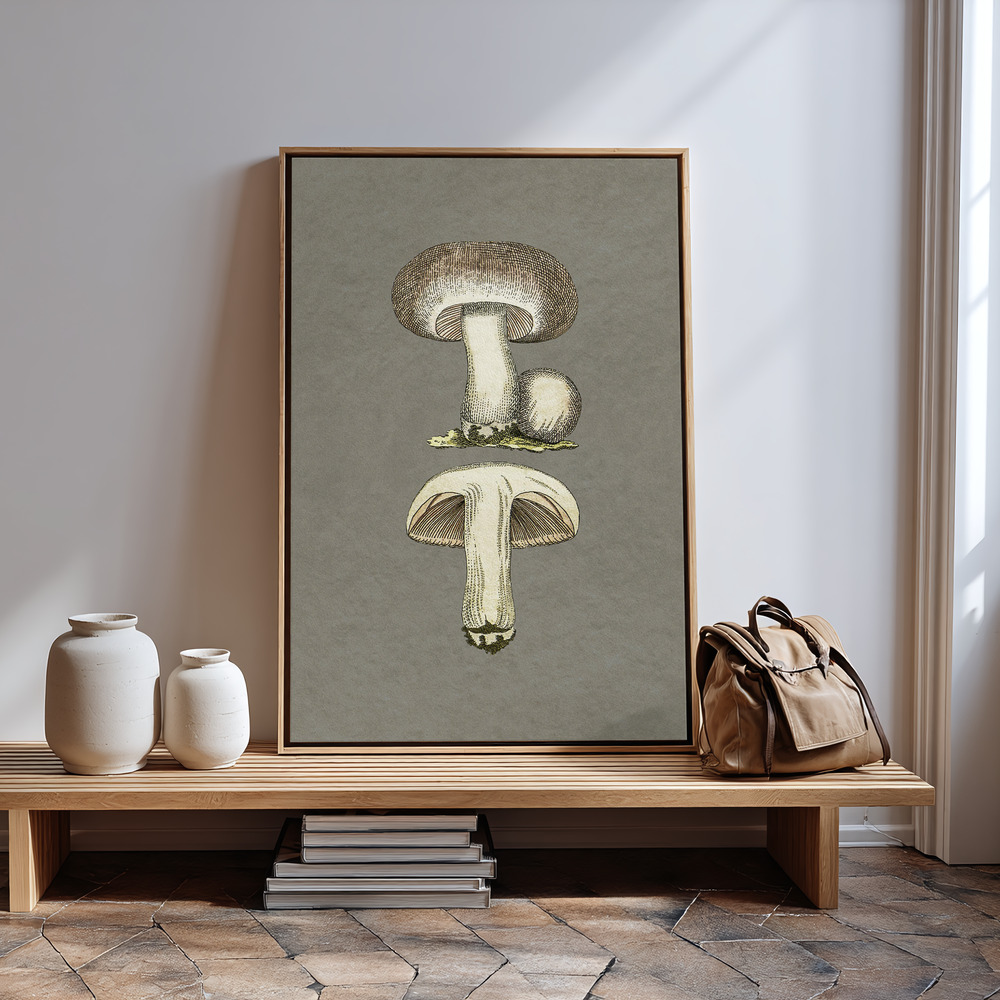 Canvas print - Field Mushroom by the entrance