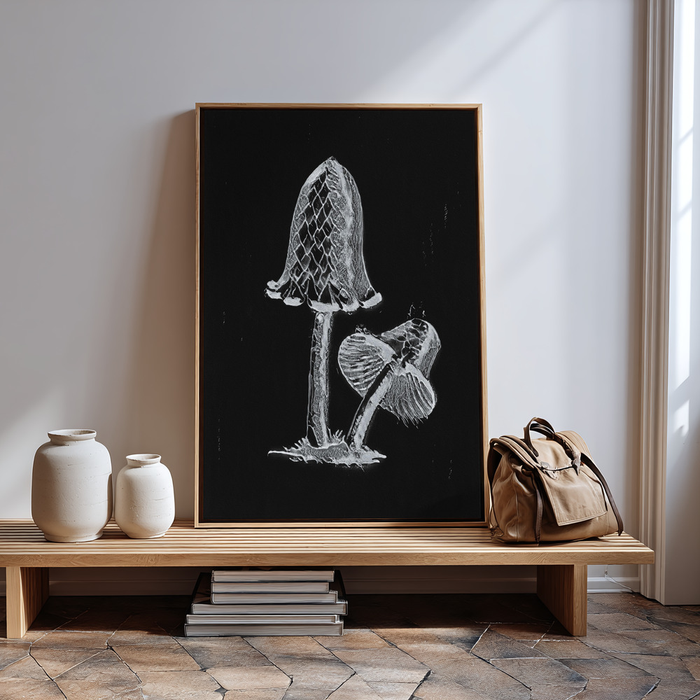 Canvas print - Vintage Inky Cap Edible Mushroom Dark BW by the entrance