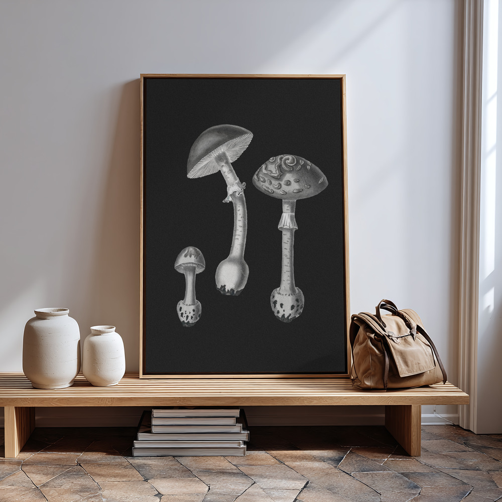 Stampe su tela - Amanita Muscaria Black Backgound BW vicino all'ingresso