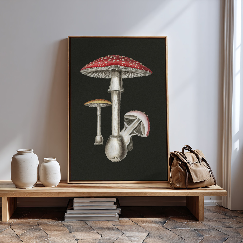 Stampe su tela - Amanita Muscaria Dark Background vicino all'ingresso