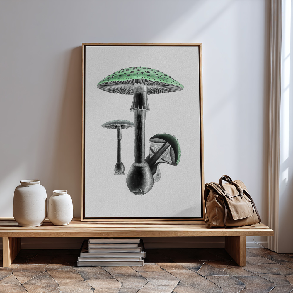 Canvas taulu - Amanita Muscaria White Background Green sisäänkäynnin luona