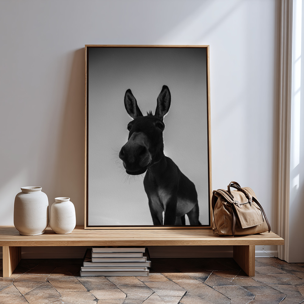 Toile - Donks à l'entrée