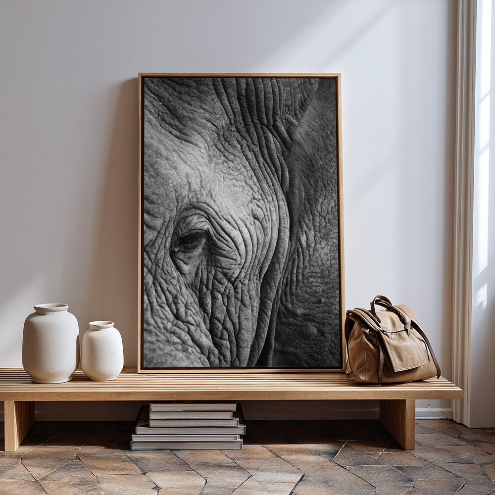 Canvas schilderi - Elephant Study bij de ingang