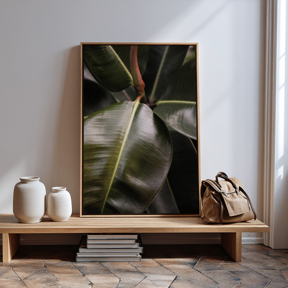 Canvas print - Ficus Bubu in guest room