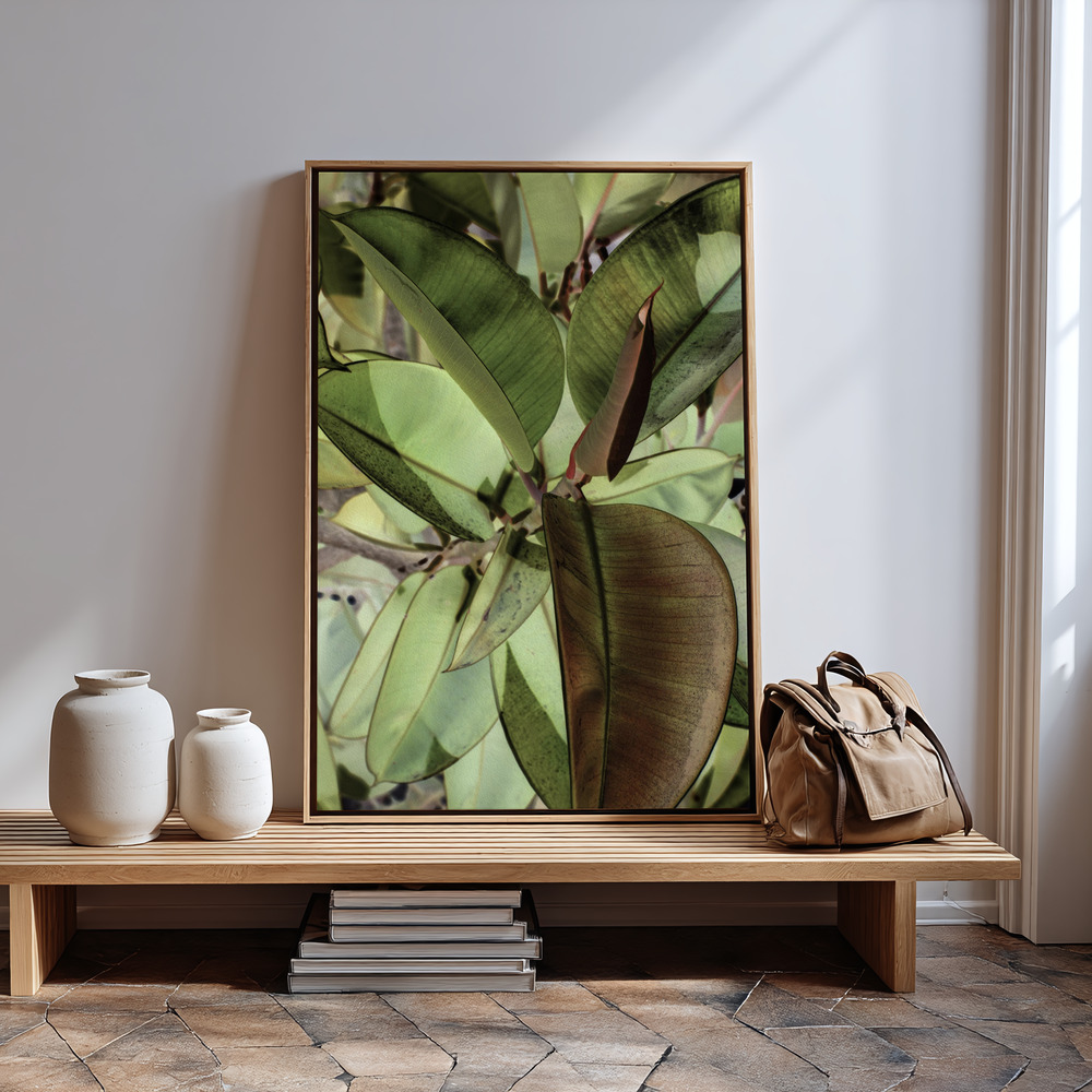 Canvas schilderi - Ficus Elastica bij de ingang