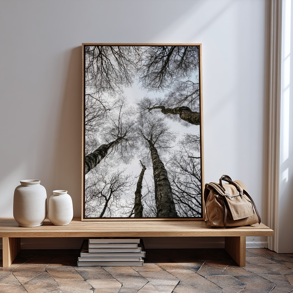 Canvas taulu - Forest No1 sisäänkäynnin luona