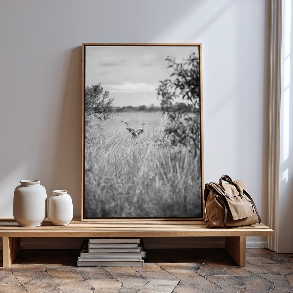 Canvas print - Kudu in guest room