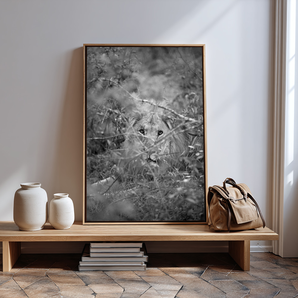 Canvas print - Lion in guest room