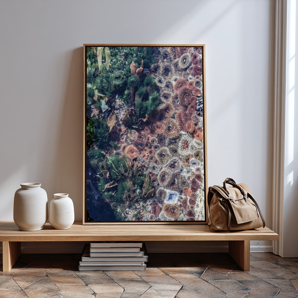 Canvas print - Ocean Curiosities in guest room