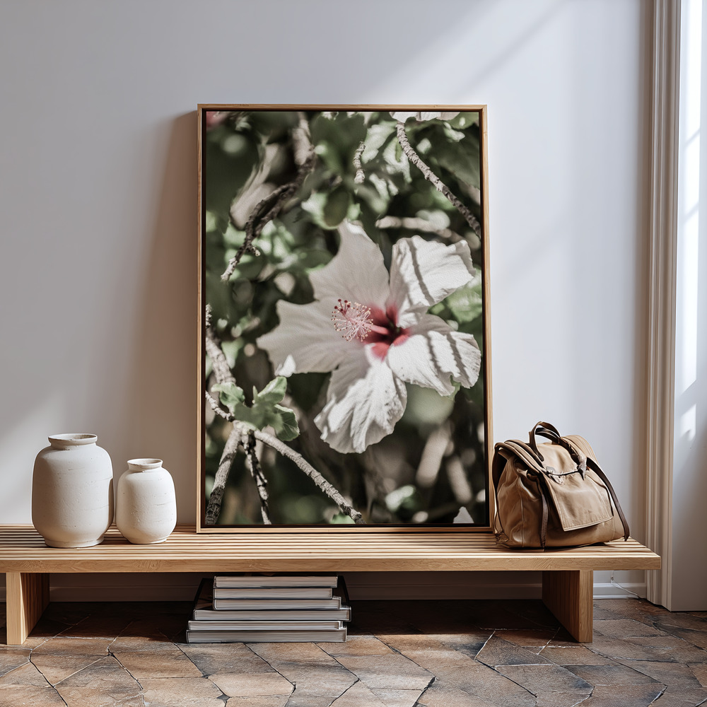 Canvas print - Pale Pink Hibiscus by the entrance