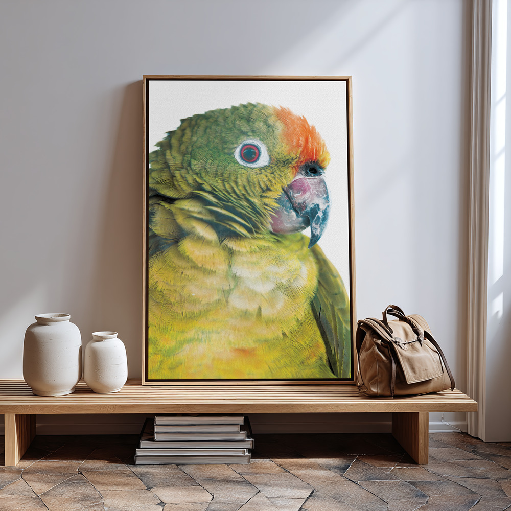 Canvas taulu - Parrot sisäänkäynnin luona