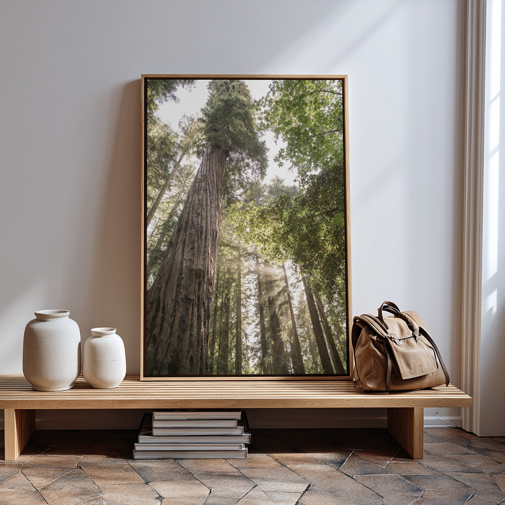Canvas print - Redwoods in guest room