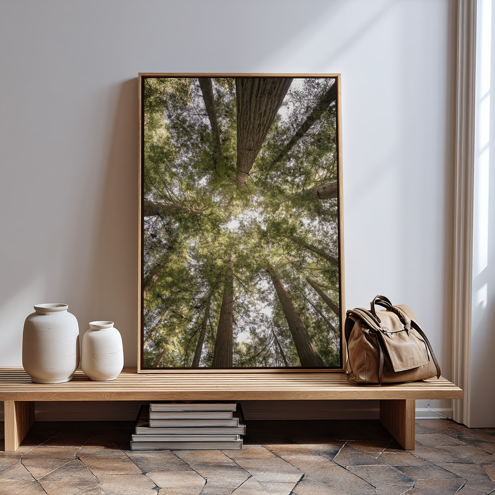 Canvas taulu - Reedwood Forest sisäänkäynnin luona