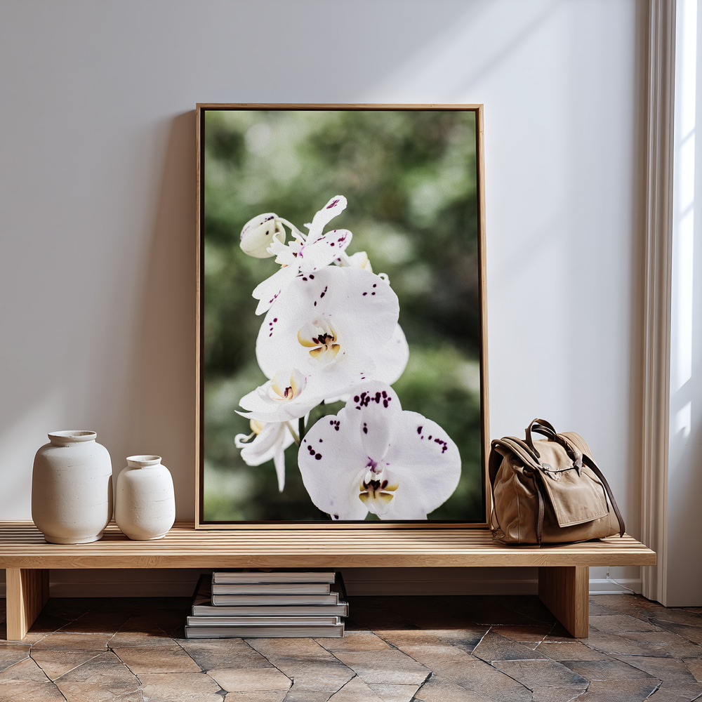 Canvas print - Spring Blooms by the entrance