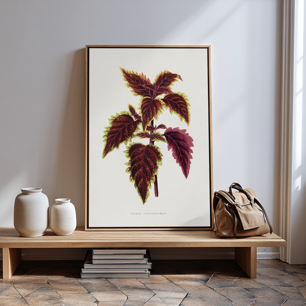 Canvas print - Pink Coleus Leaf Illustration in guest room