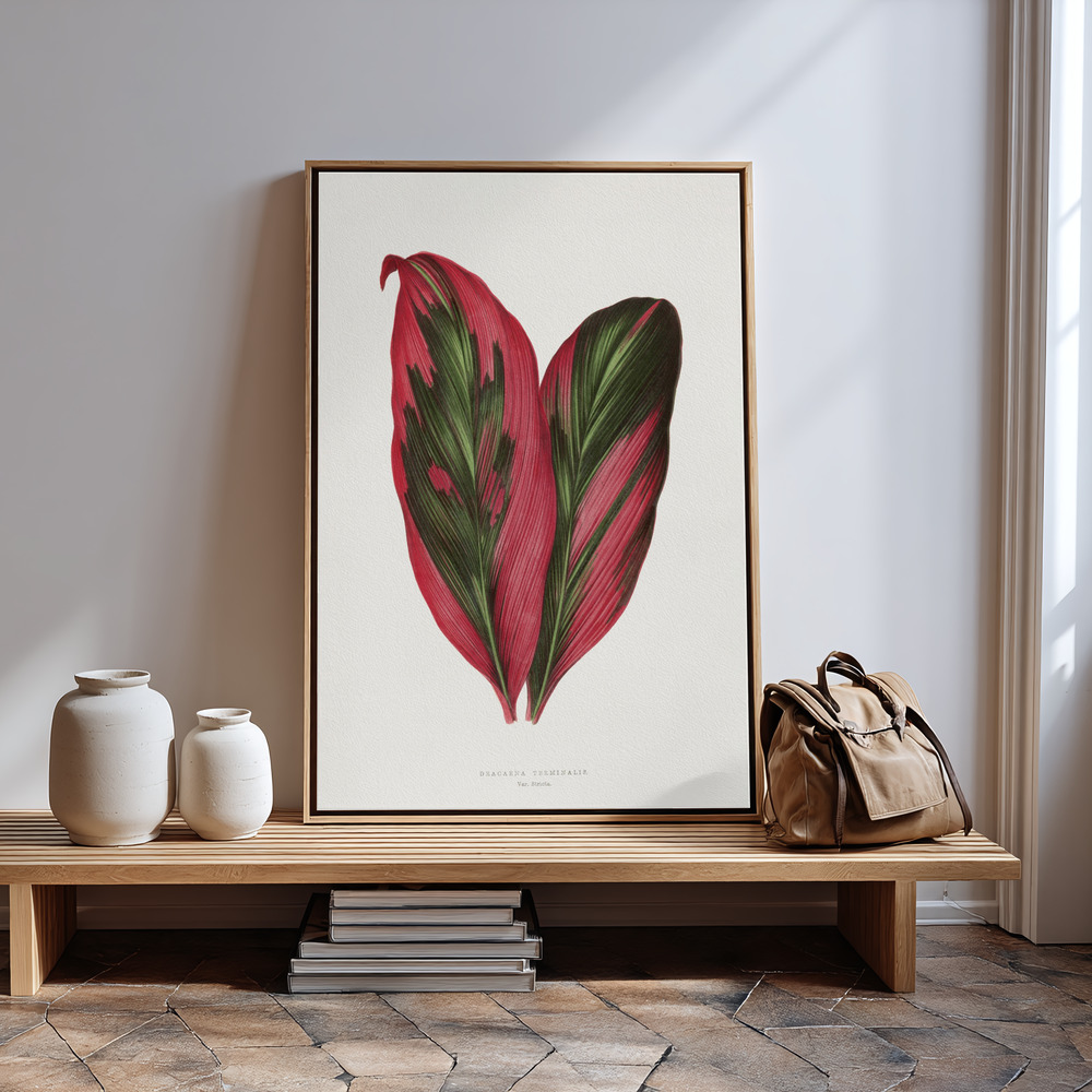 Canvas print - Pink Dracaena Terminalis Leaf Illustration in guest room