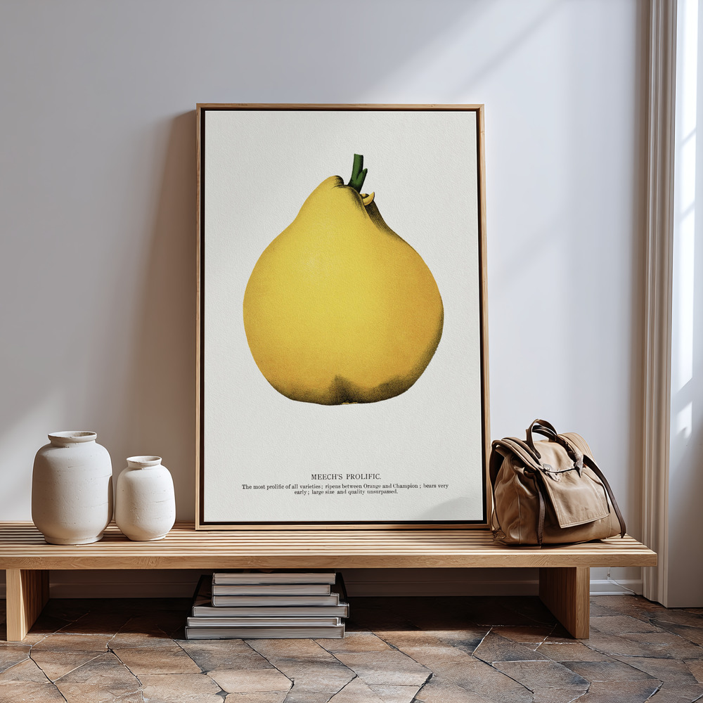 Canvas print - Meech's Prolific Pear Lithograph in guest room