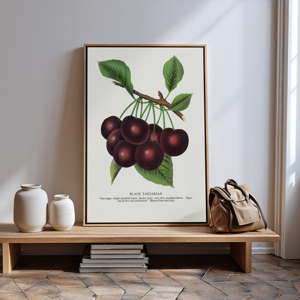 Lærred - Black Tartarian Cherry Lithograph ved indgangen