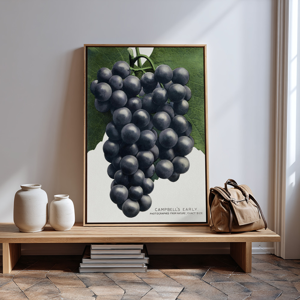 Canvas print - Campbell's Early Grape Lithograph in guest room