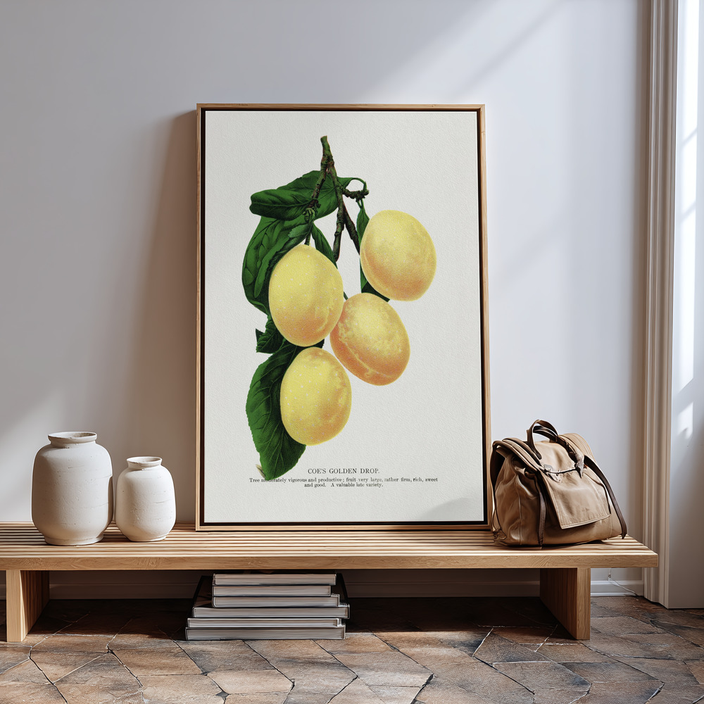 Canvas print - Coe's Golden Drop Plum Lithograph in guest room
