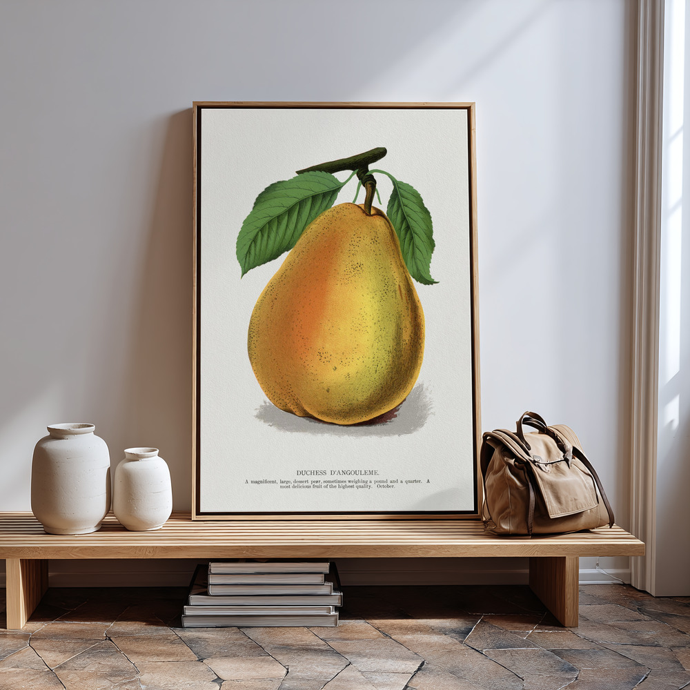 Canvas print - Duchess D'angouleme Pear Lithograph in guest room