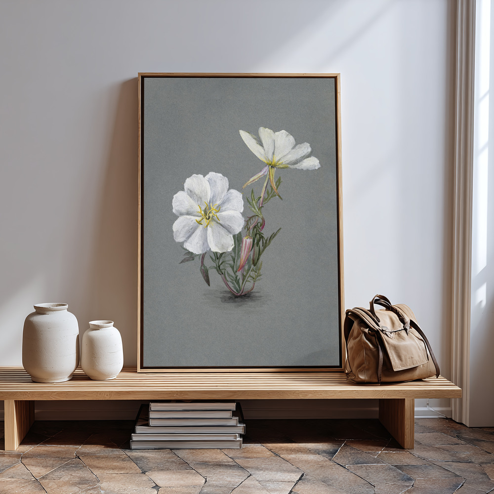 Canvas schilderi - Giant Helleborine (1880) in guest room
