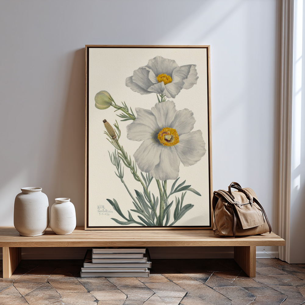 Canvas print - Matilija Poppy in guest room