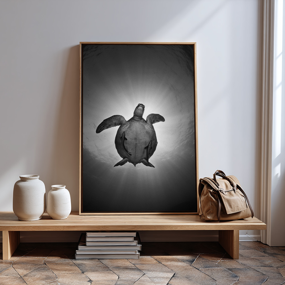 Canvas print - Sun in guest room