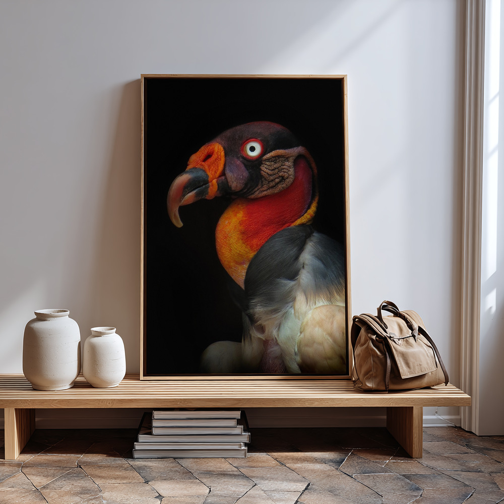 Canvas print - King vulture-Sarcoramphus papa in guest room