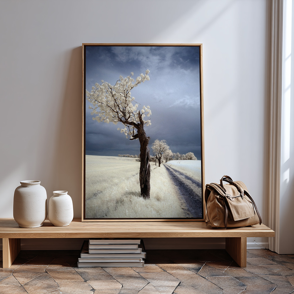Lienzo - IRenka in guest room