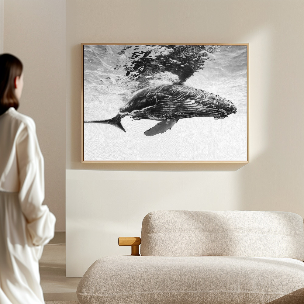 Canvas taulu - Humpback whale calf salissa