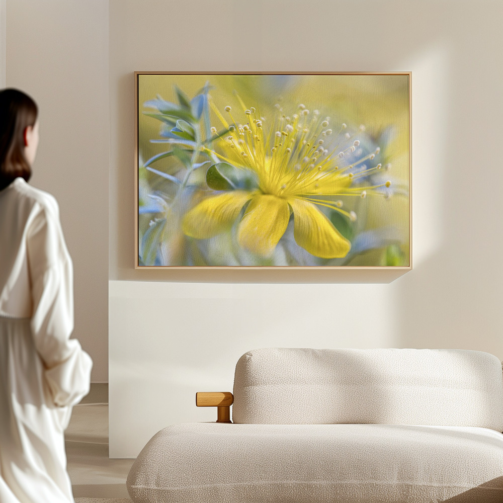 Canvas print - Hypericum in the hall