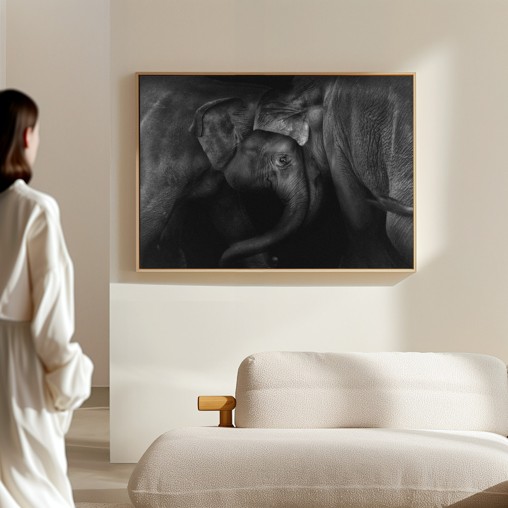 Toile - Elephant 2 dans le hall