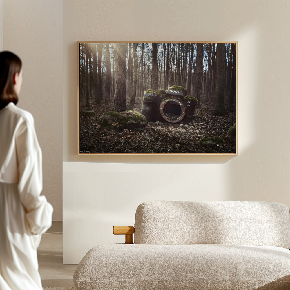 Canvas print - Lost in the hall