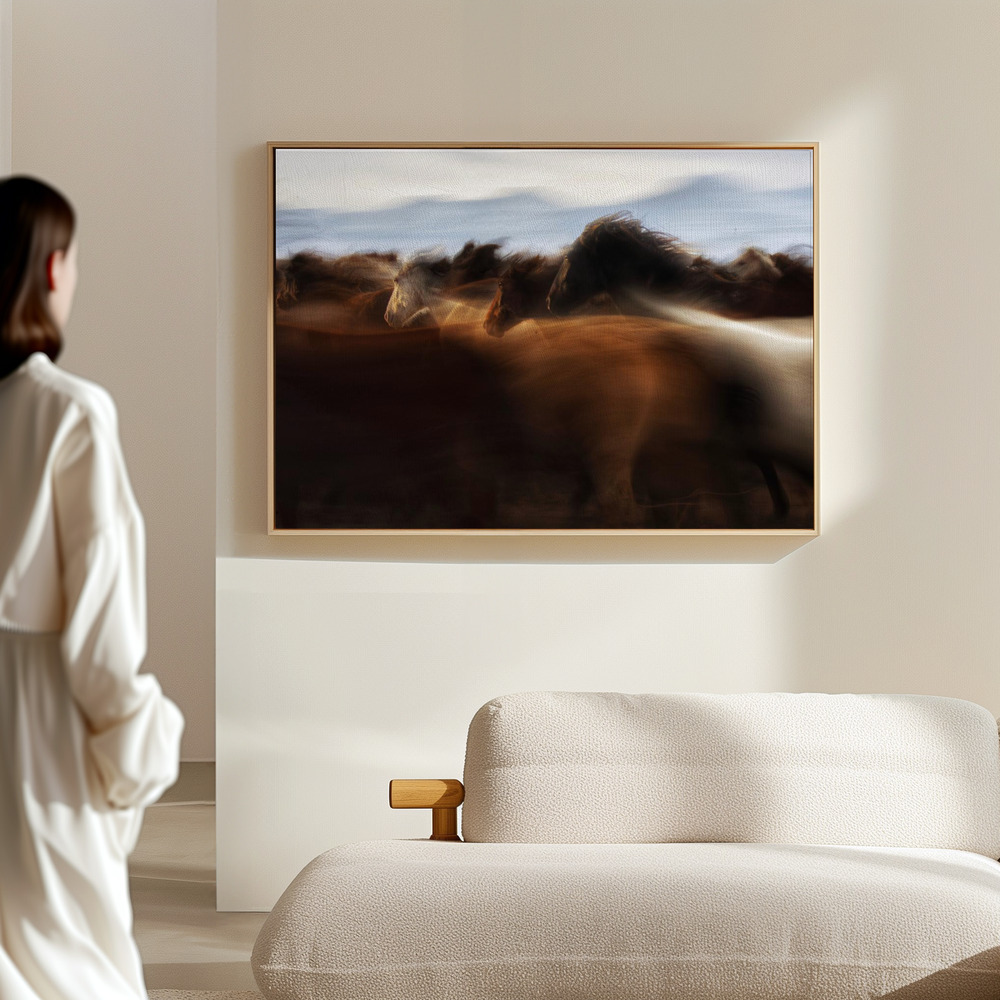 Canvas schilderi - The Spirit of freedom in de hal