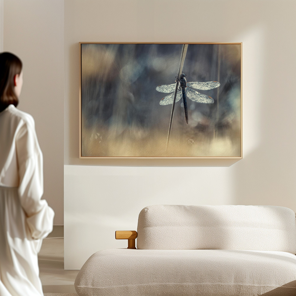 Canvas taulu - Wings salissa