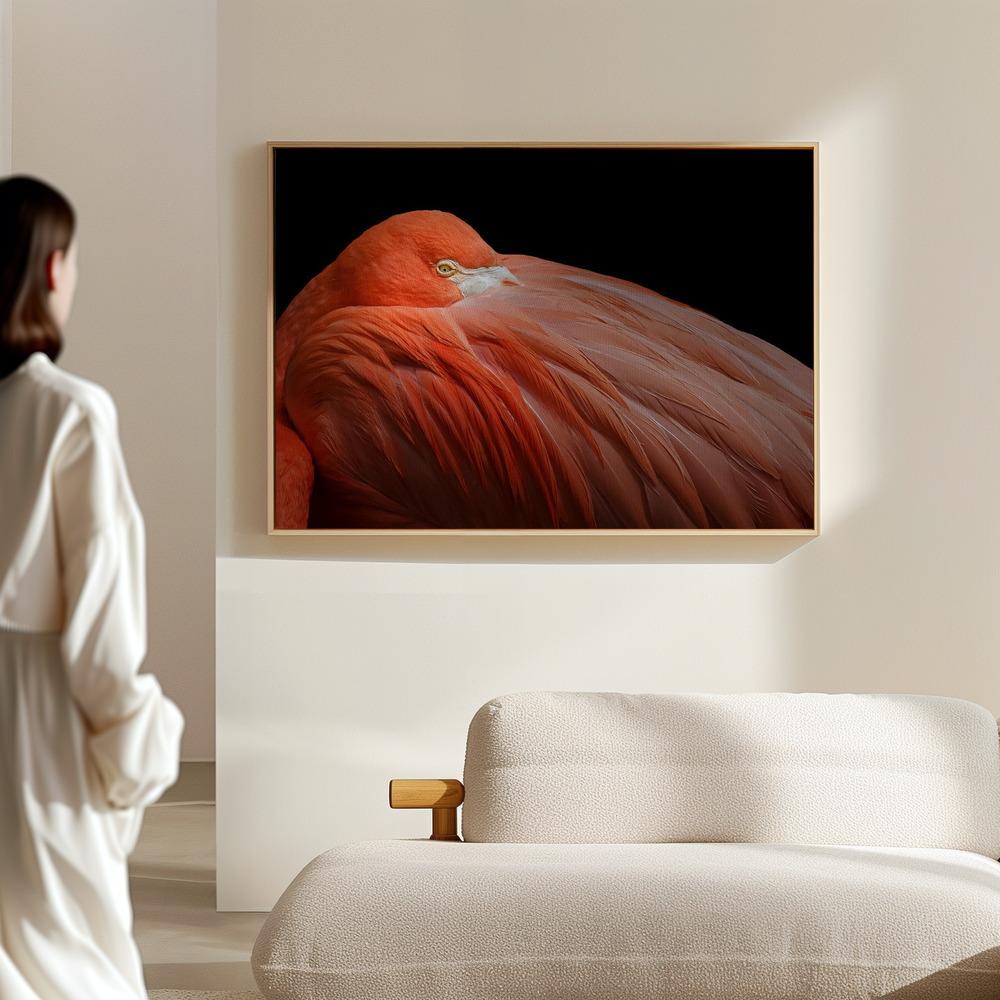 Canvas taulu - Crimson Plume Solace salissa