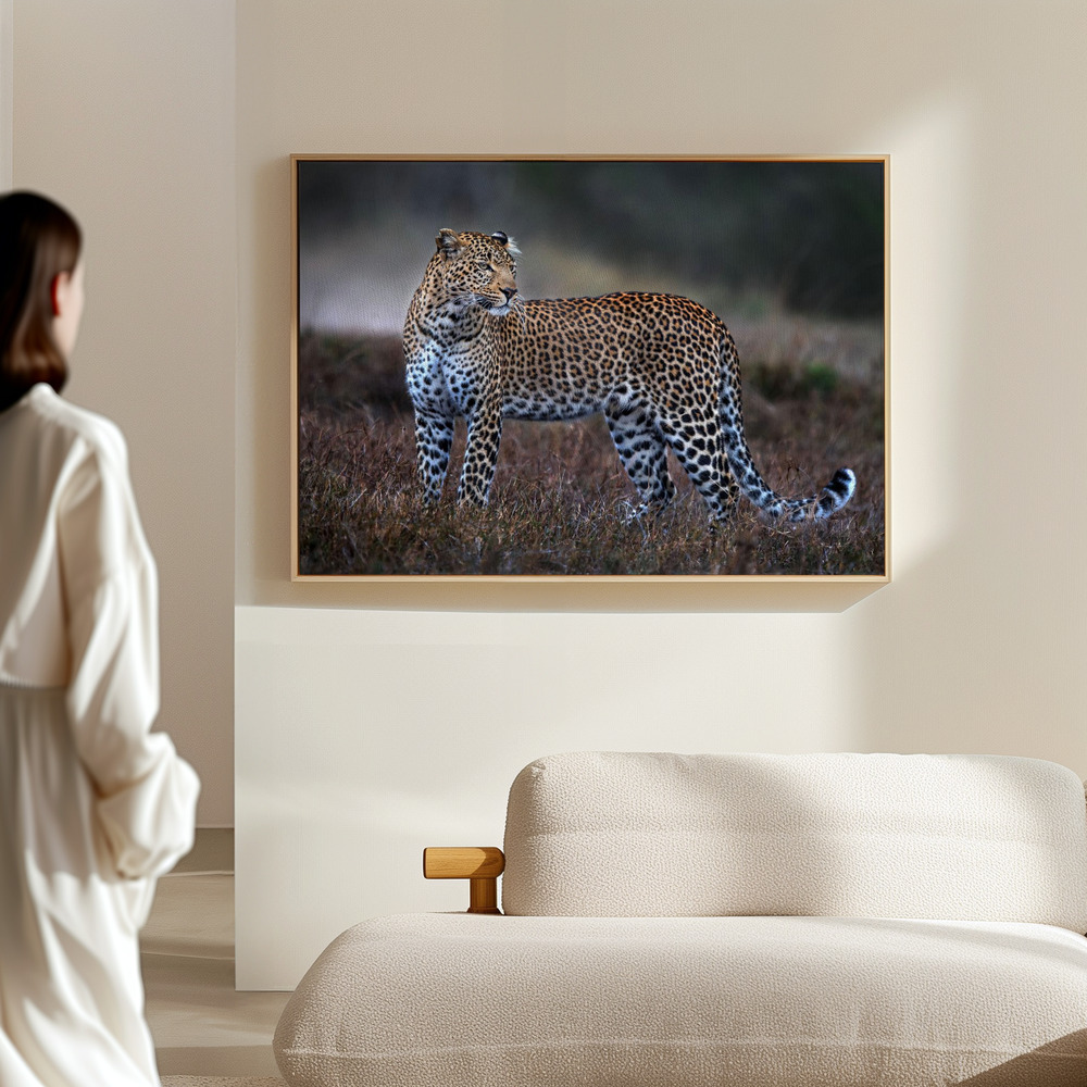 Canvas print - Leopard on the prowl in the hall