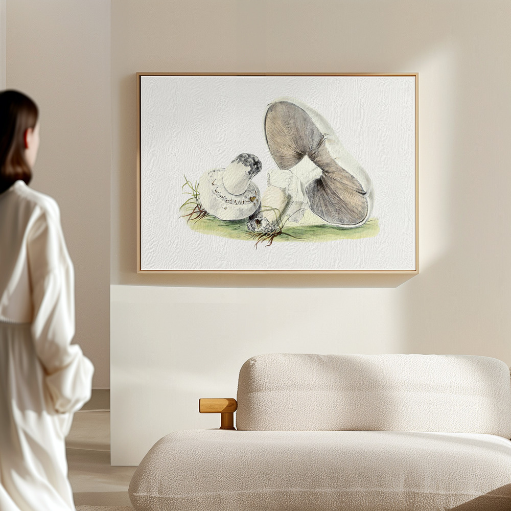 Canvas print - Hand Drawn Horse Mushroom in the hall
