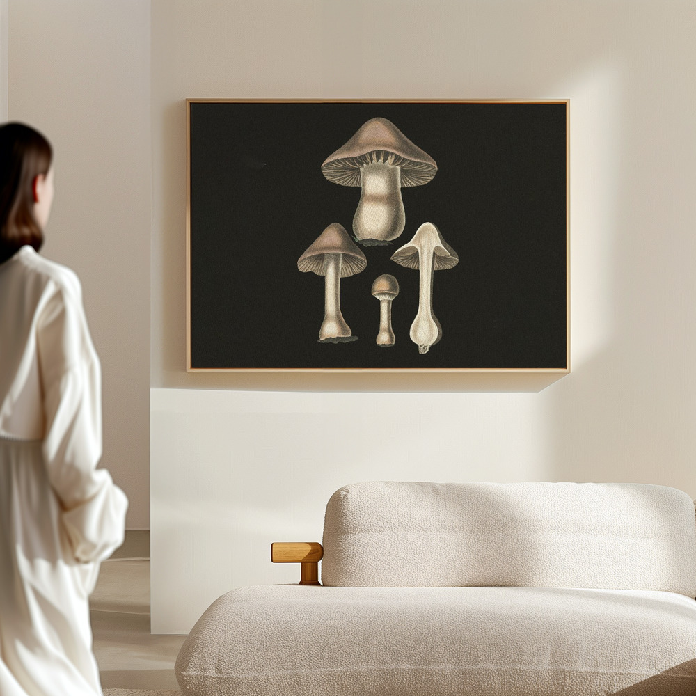 Stampe su tela - Agaricus Bulbosus Dark Background nella sala