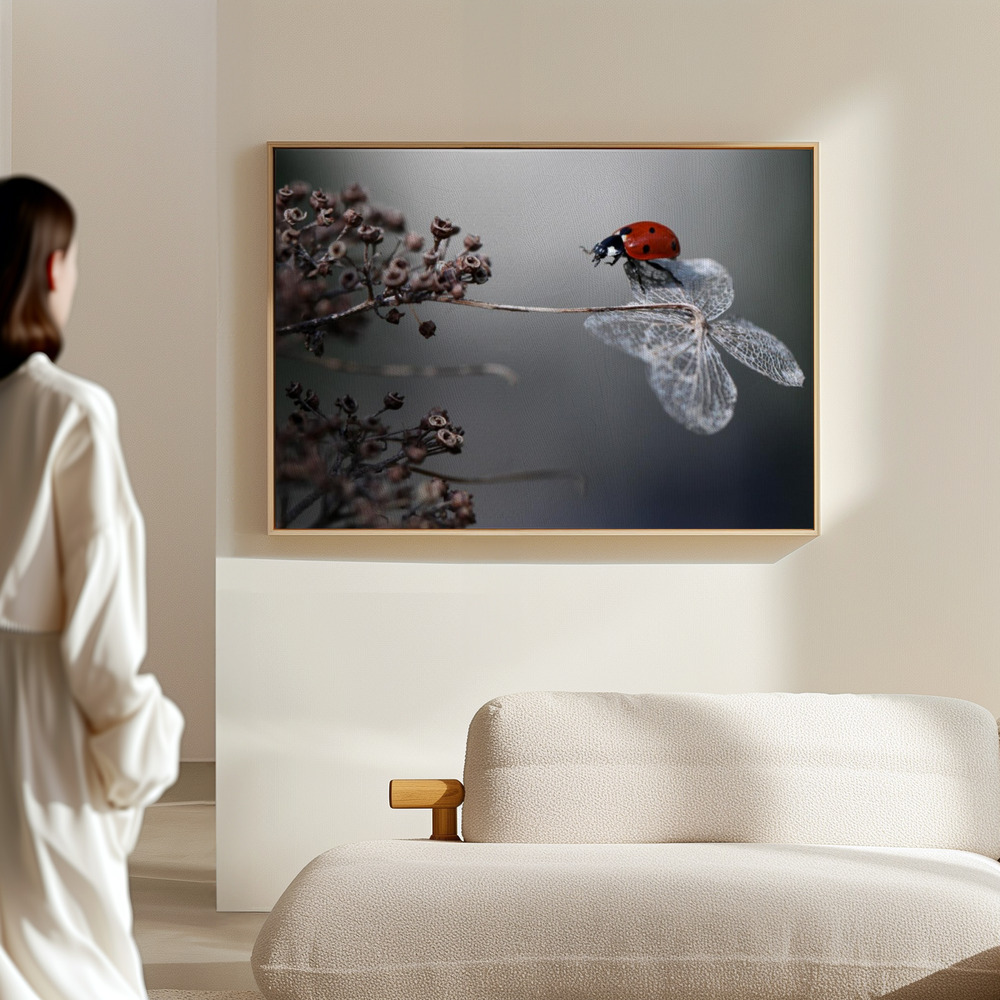 Canvas print - Ladybird on hydrangea. in the hall