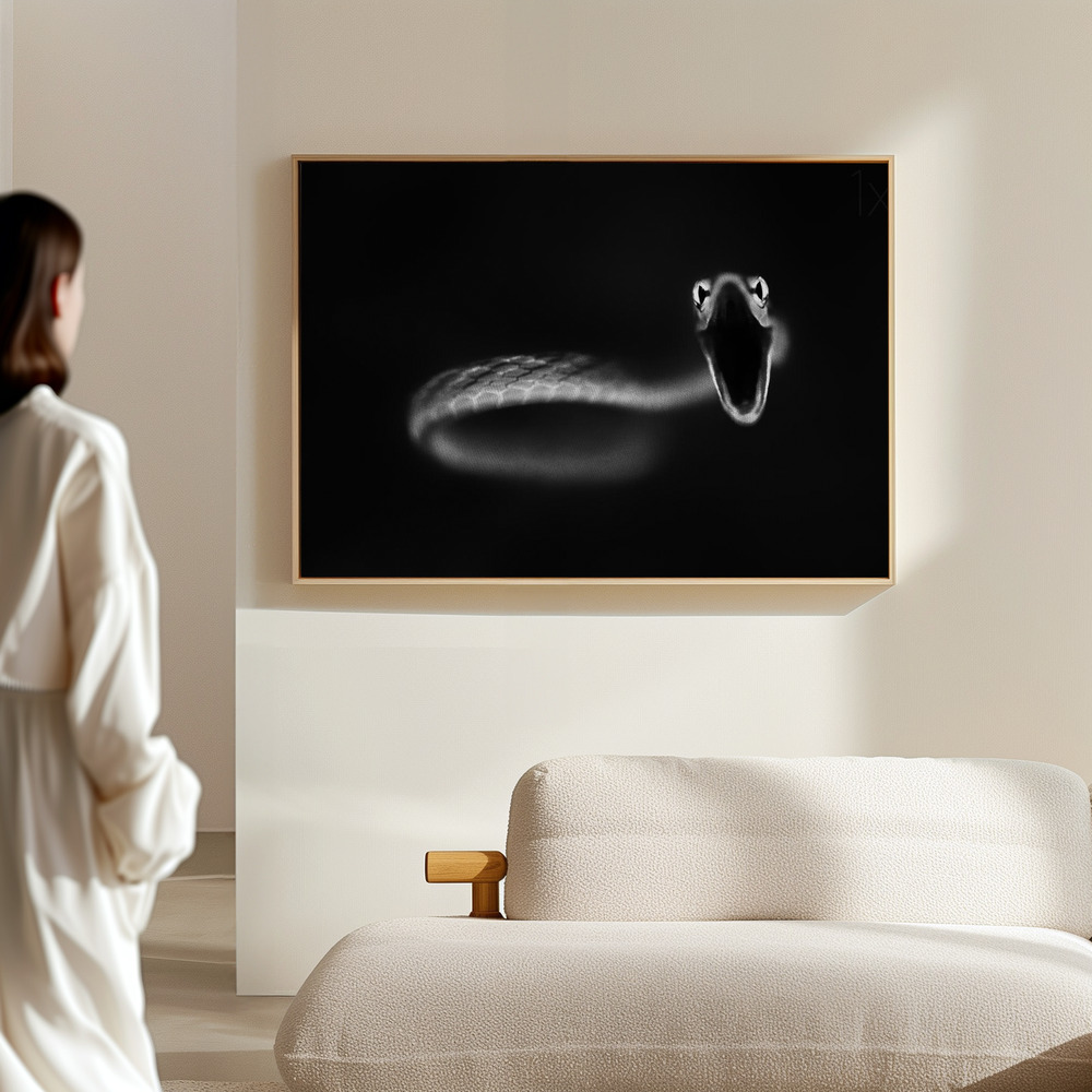 Obraz na płótnie - Vine Snake Strike w hali