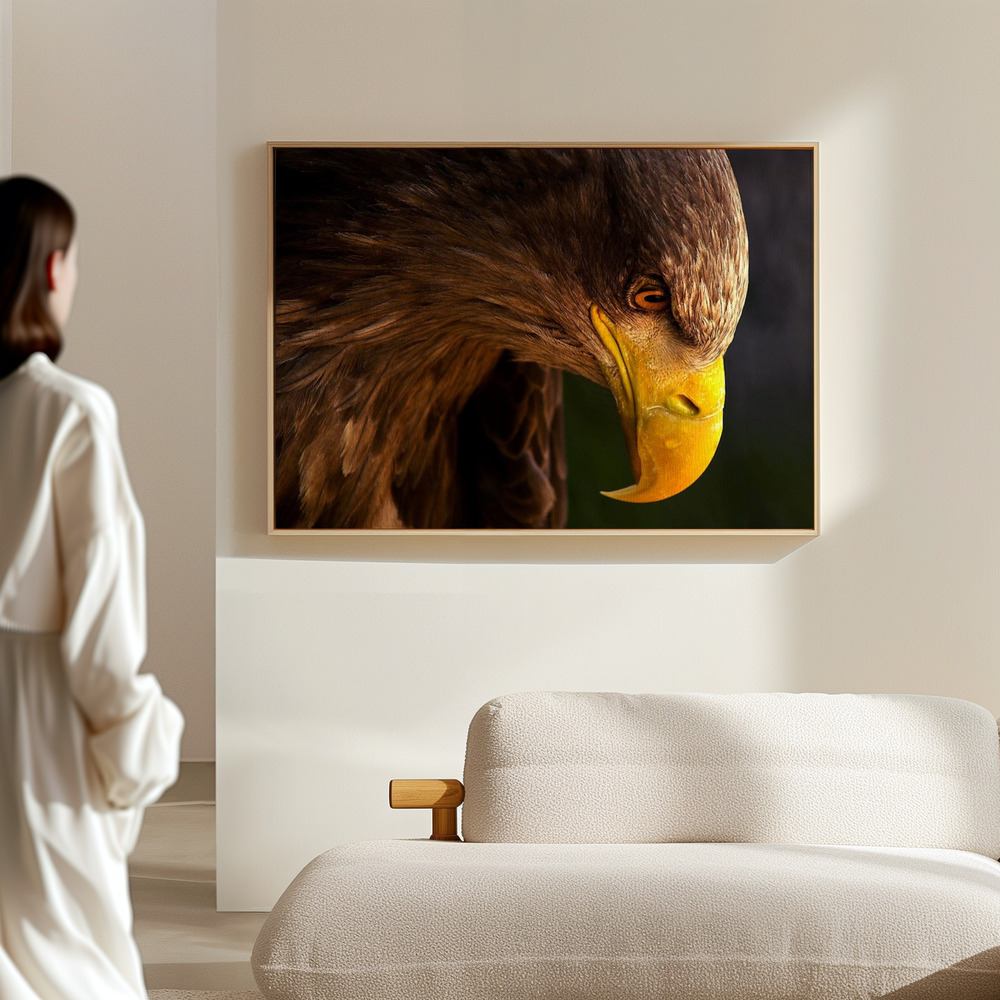 Canvas schilderi - Eagle pursues prey in de hal