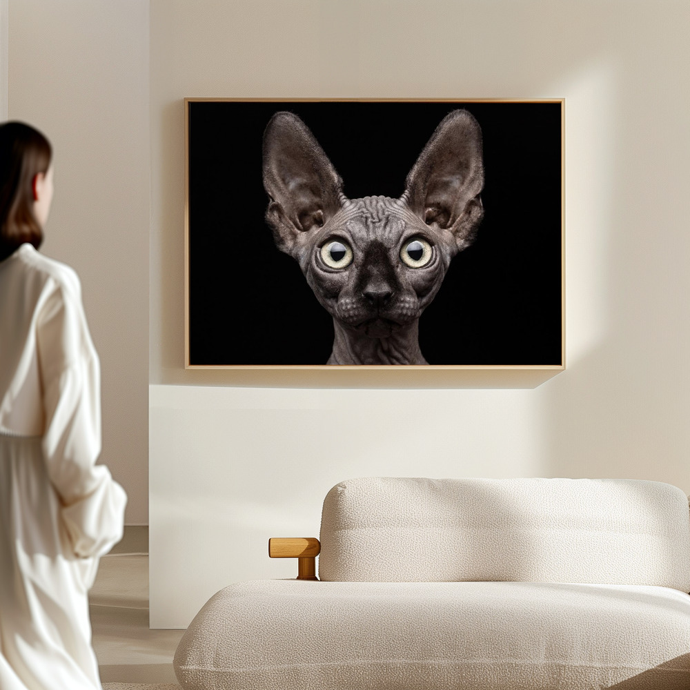 Toile - Sphynx Cat dans le hall