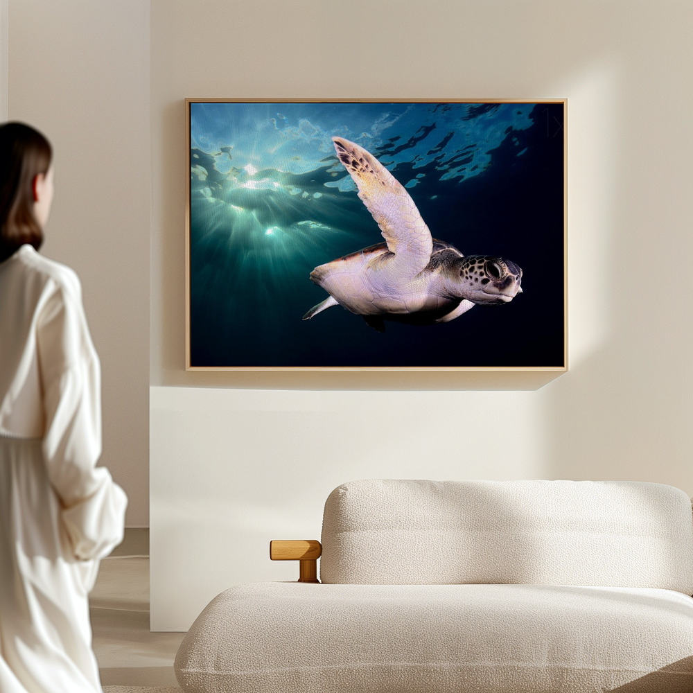 Canvas print - Afternoon in the hall