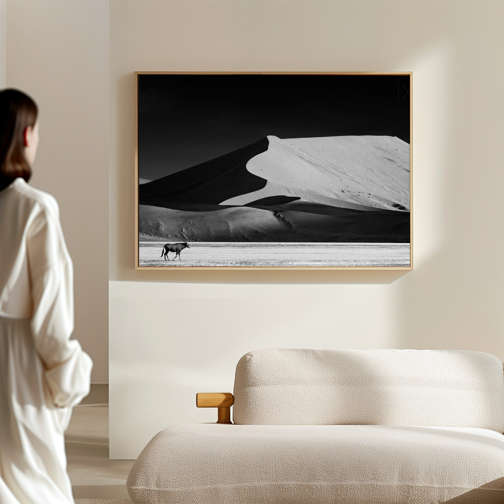 Canvas print - The Solitary in the hall