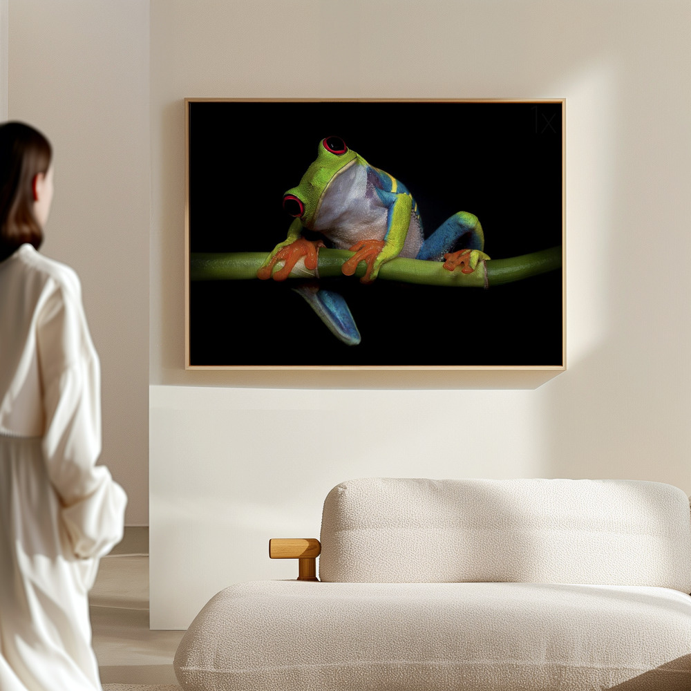 Canvas print - Curiosity in the hall