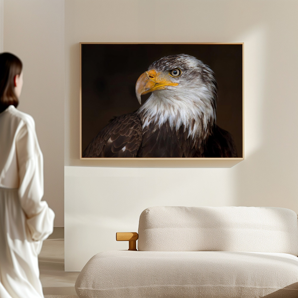 Canvas print - Caged - Bald Eagle in the hall